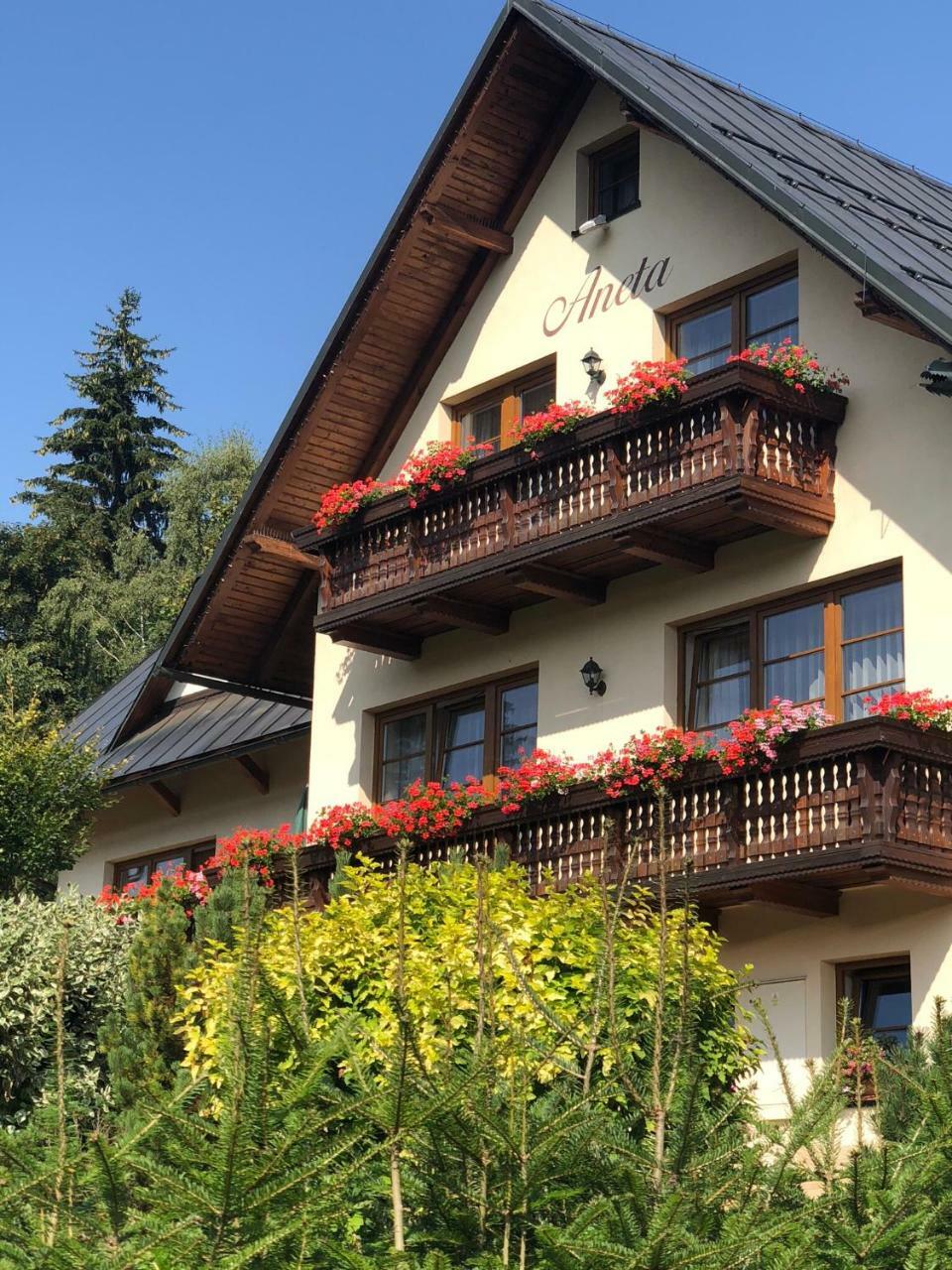 Apartmany Aneta Spindleruv Mlyn Exterior foto